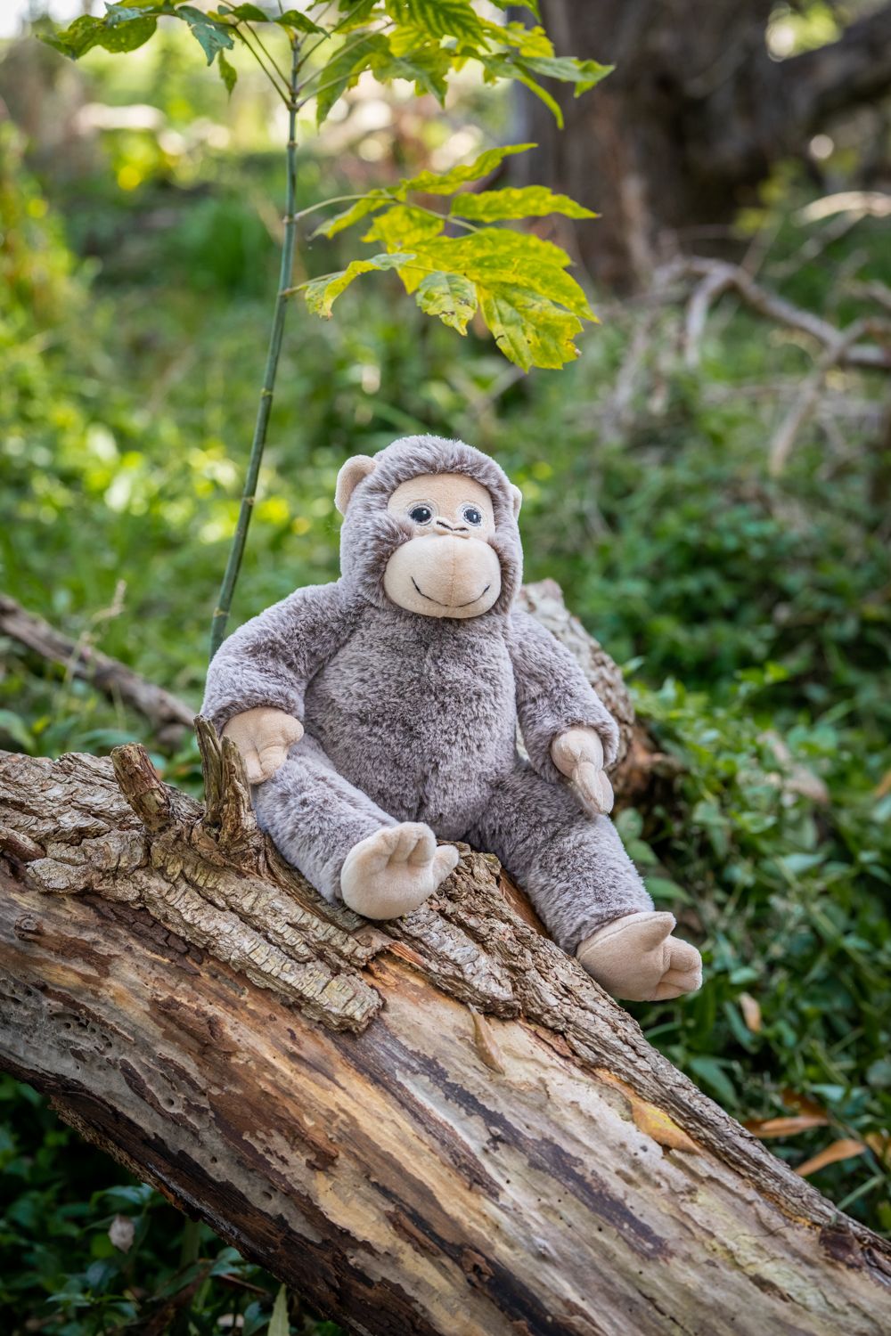 Maisie the Monkey Gift Card - Perfect for Birthdays, Holidays & Special Occasions | Send Digital or Physical Gift Cards Online