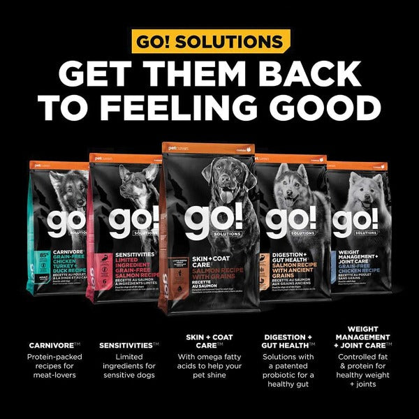 Go! Solutions Skin & Coat Care Large Breed Salmon Recipe with Grains Dry Dog Food - Premium Omega-Rich Nutrition for Healthy Skin & Shiny Coat - Ideal for Large Breed Adult Dogs at Home or Outdoor Activities