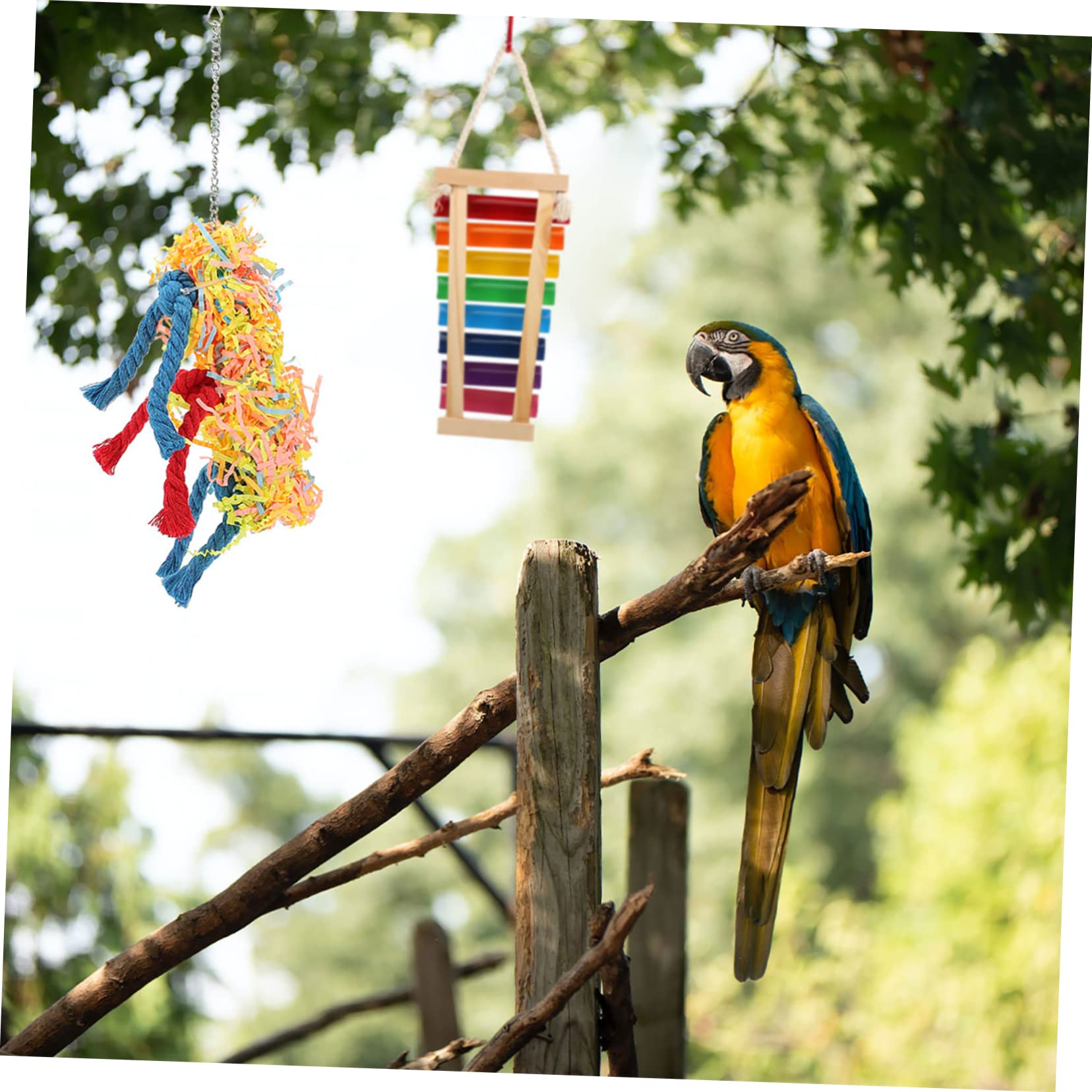 Balacoo 3-Piece Parrot Toy Set - Hanging Bell, Chewable Ladder & Pecking Toys for Birds - Natural Rattan Wooden Bird Cage Accessories - Perfect for Parrots, Cockatiels & Small Pets - Stimulating Play & Exercise Toys for Bird Cages & Chicken Coops