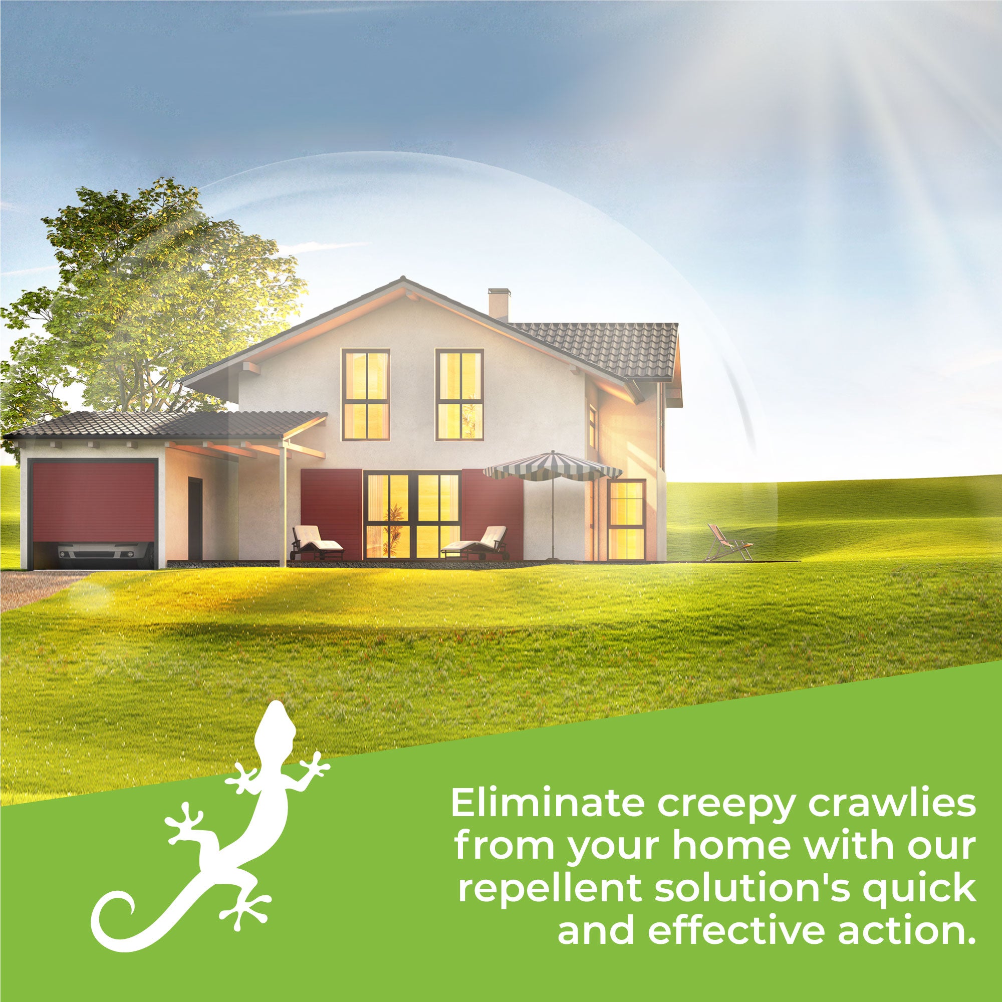 Natural Lizard Repellent Spray - Safe & Effective Outdoor/Indoor Pest Control for Home, Garden & Patio | Keeps Lizards Away from Walls, Windows & Doors