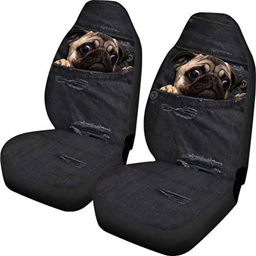 Pug