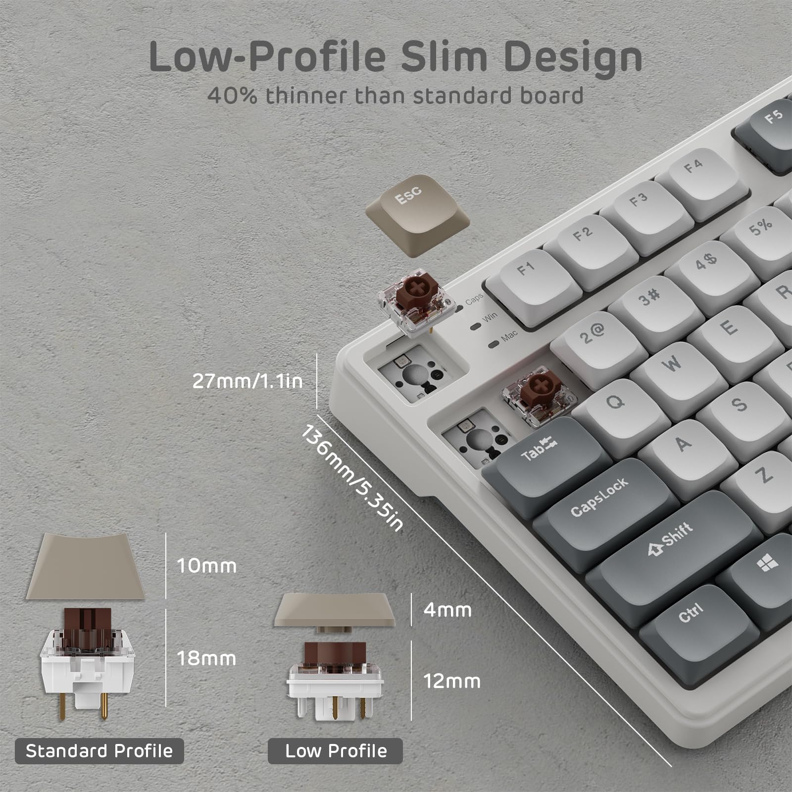 RK ROYAL KLUDGE N80 Low Profile 75% Wireless Mechanical Keyboard with Smart Display & Knob - 3 Modes (Bluetooth/2.4G/Wired), Tactile Brown Switches, 80 Keys, Software Support, Long Battery Life - Perfect for Office Work, Gaming & Programming