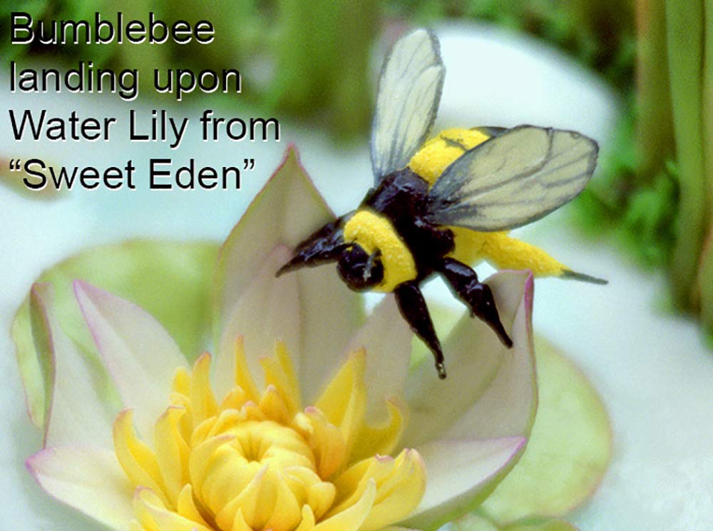 Bumblebee Body Silicone Molds Set of 2 - Food Grade Baking Molds for DIY Chocolate, Candy, Soap & Resin Crafts - Perfect for Birthday Parties, Baby Showers & Holiday Treats
