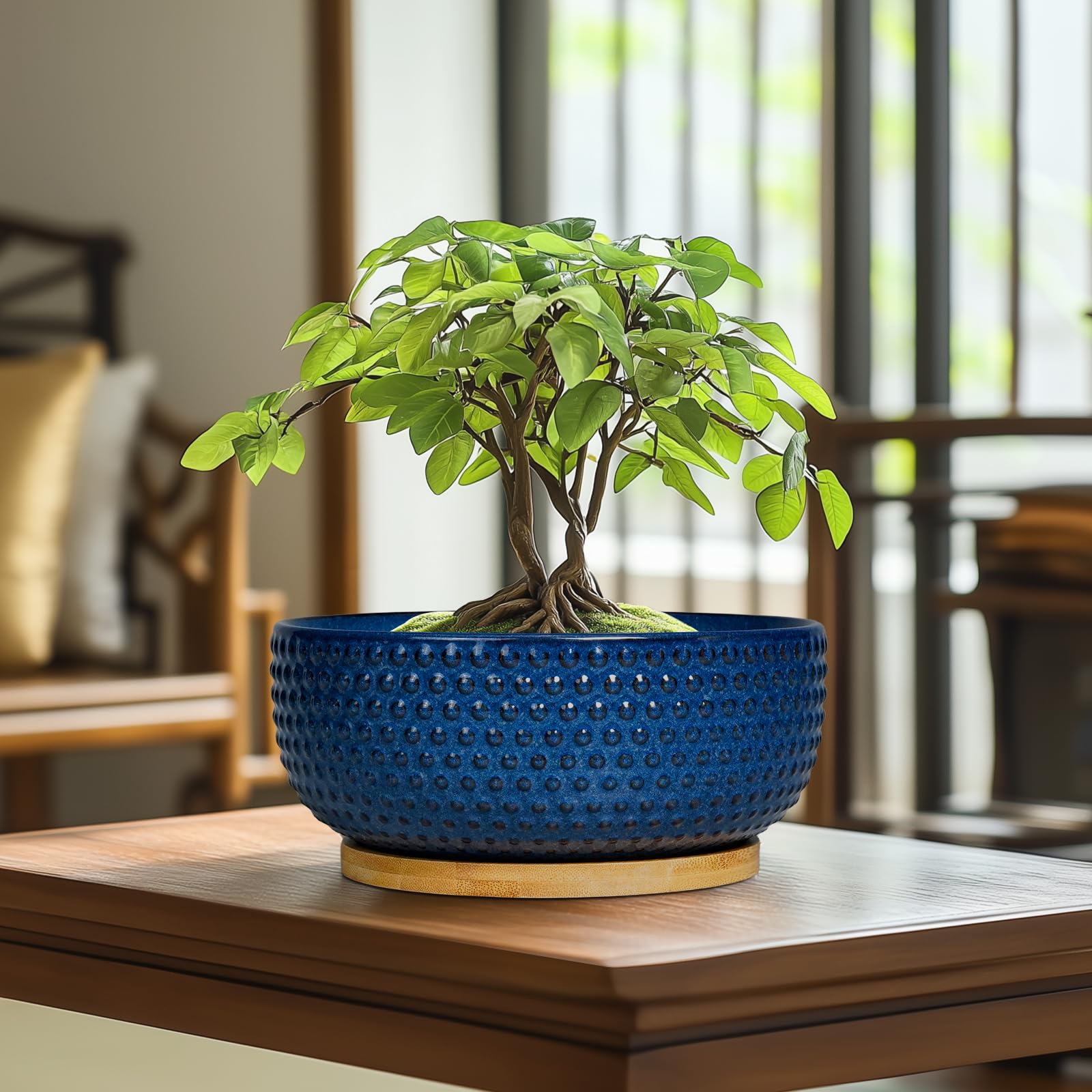 8 Inch Ceramic Bonsai Pots with Drainage Hole & Saucer - Modern Round Planter for Succulent Plants, Bonsai Trees, Indoor House Decor - Perfect Gift for Women & Men (Blue) - Ideal for Home, Office, and Garden Decorations