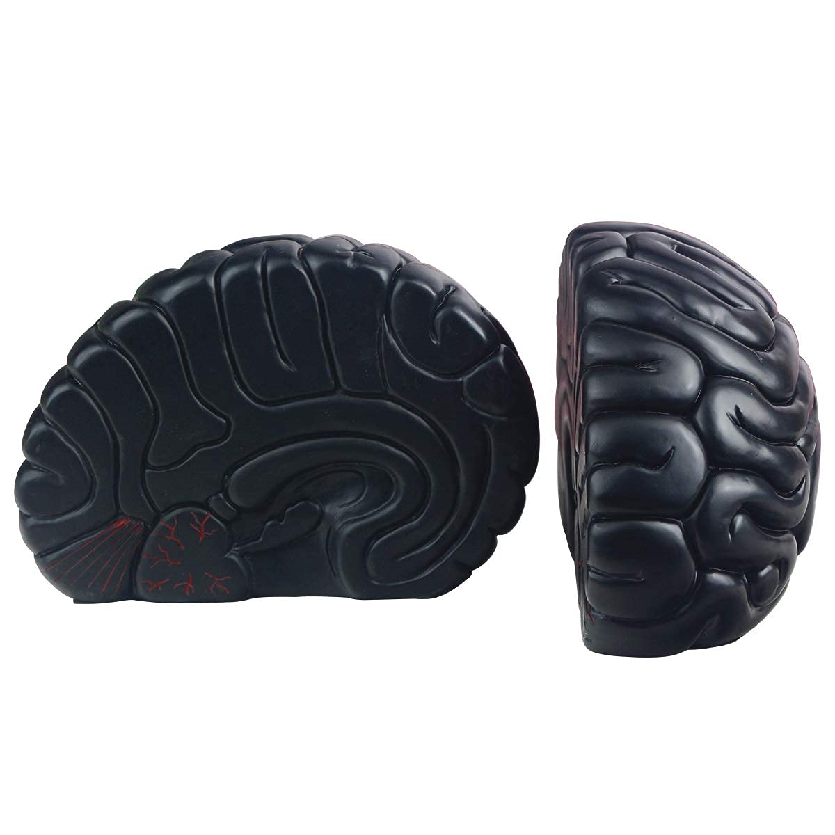 Decorative Brain Bookends - Heavy Duty Black Book Supports for Office, Home, Desk & Bookshelf - Unique Bookend Decor (6