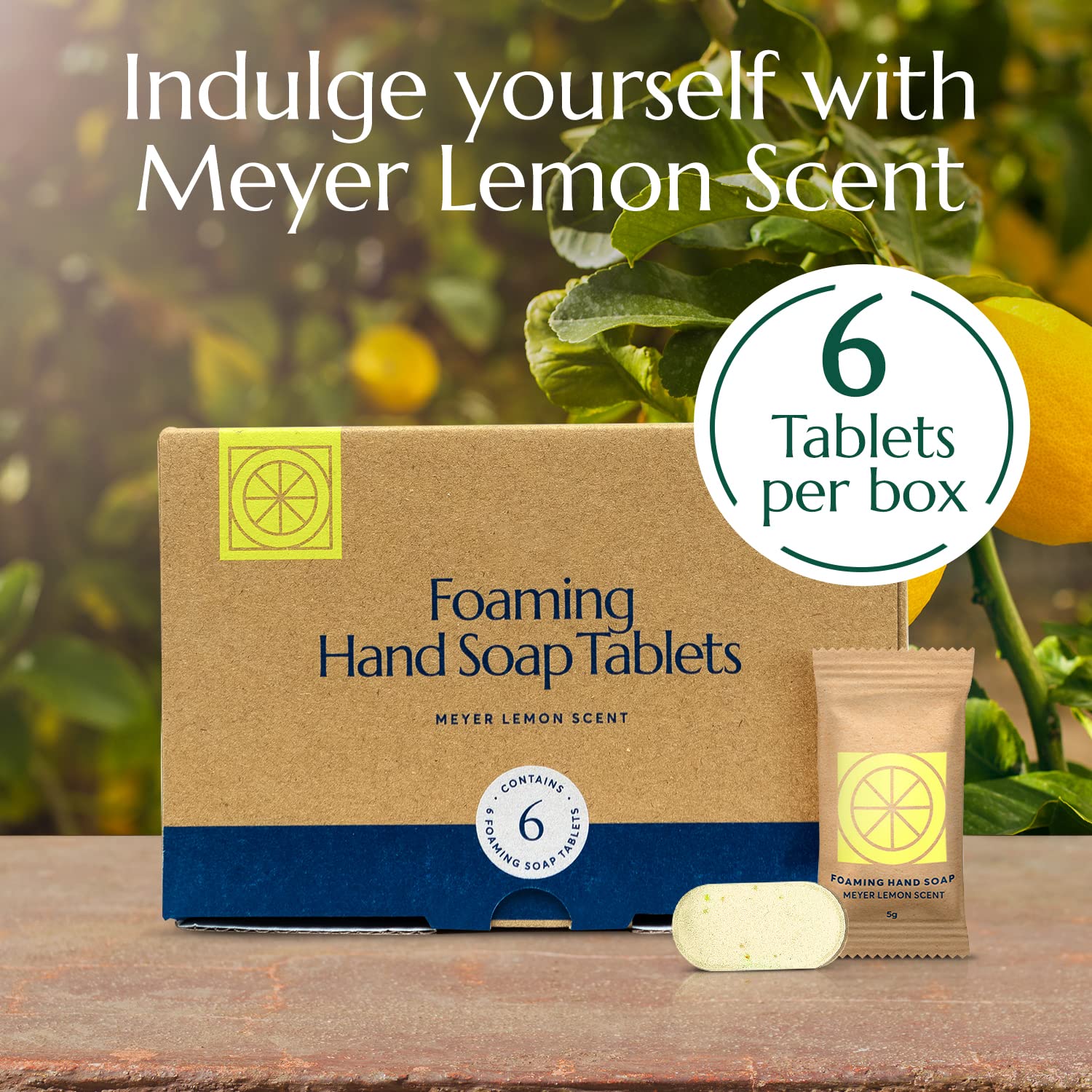 Eco-Friendly Foaming Hand Soap Tablets & Oxy Laundry Booster Tablets Bundle with Reusable Tin | Zero Waste Cleaning Solution for Home, Travel & Camping