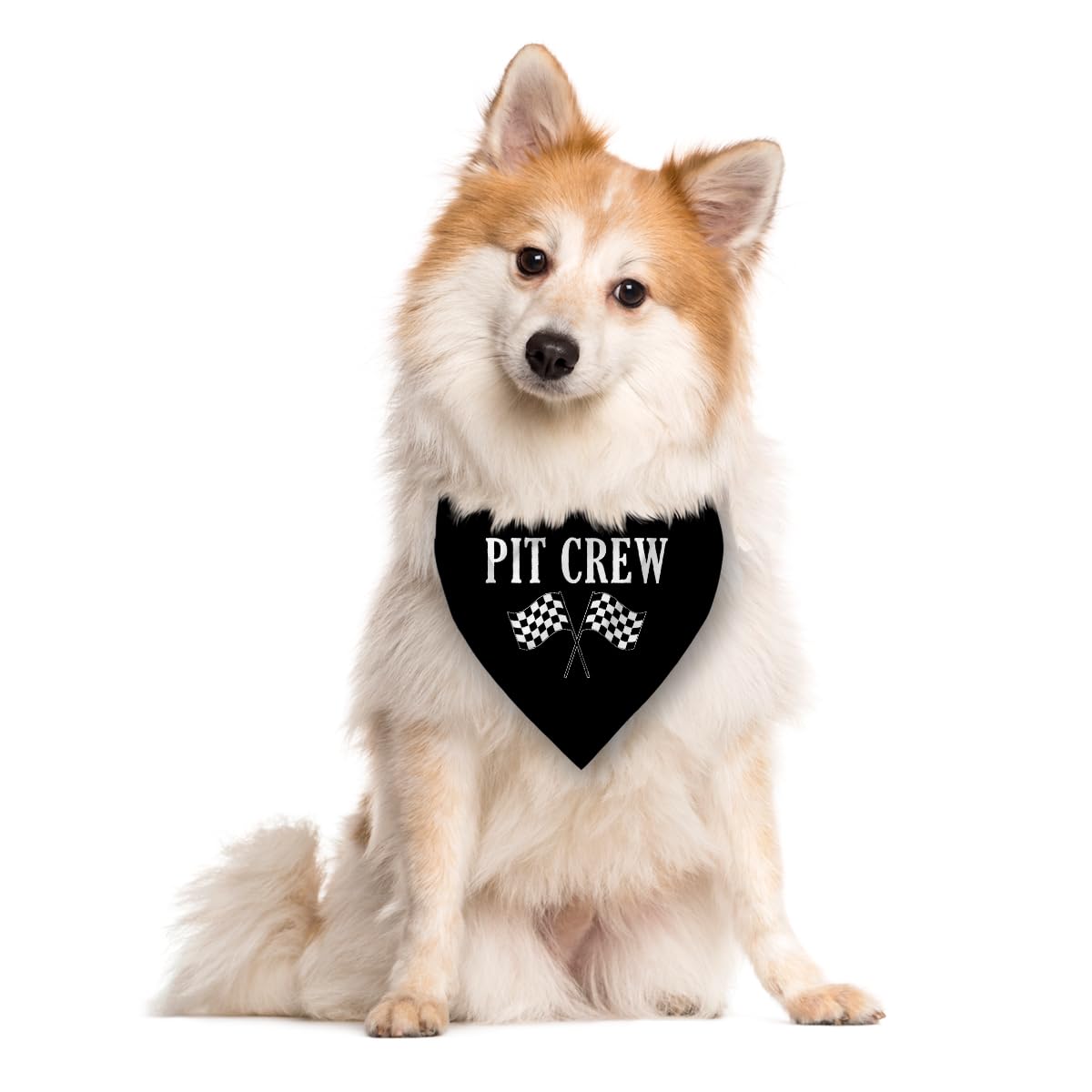 Pit Crew Dog Bandana - Black Checkered Flag Racing Scarf for Small & Medium Dogs | Funny Cute Pet Bandana Triangle Scarf | Perfect Gift for Dog Lovers | Ideal for Race Day, Pet Parties & Outdoor Adventures (Medium Size)