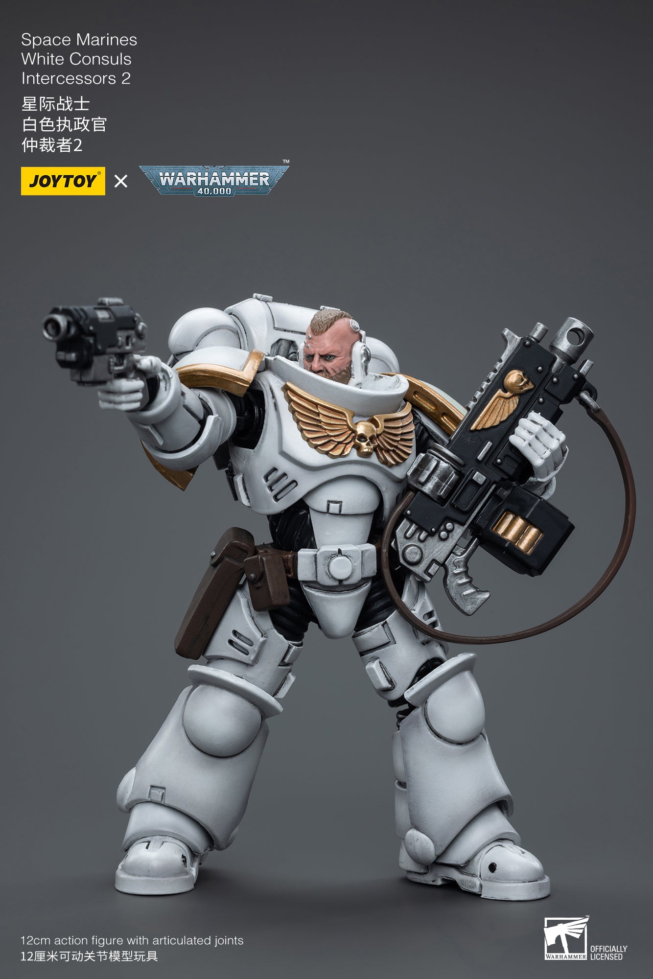 1/18 JOYTOY Warhammer 40K Space Marines White Consuls Intercessors Action Figure - Collectible Miniature for Tabletop Gaming & Display