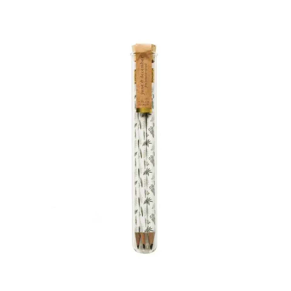 Fern Pencil Terrarium - Mini Glass Plant Terrarium with Live Fern for Home & Office Decor | Perfect for Desk, Shelf, or Gift