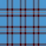Elliot Ancient Tartan Plaid Scarf - Premium Wool Wrap for Men & Women - Perfect for Winter, Fall Fashion & Outdoor Activities