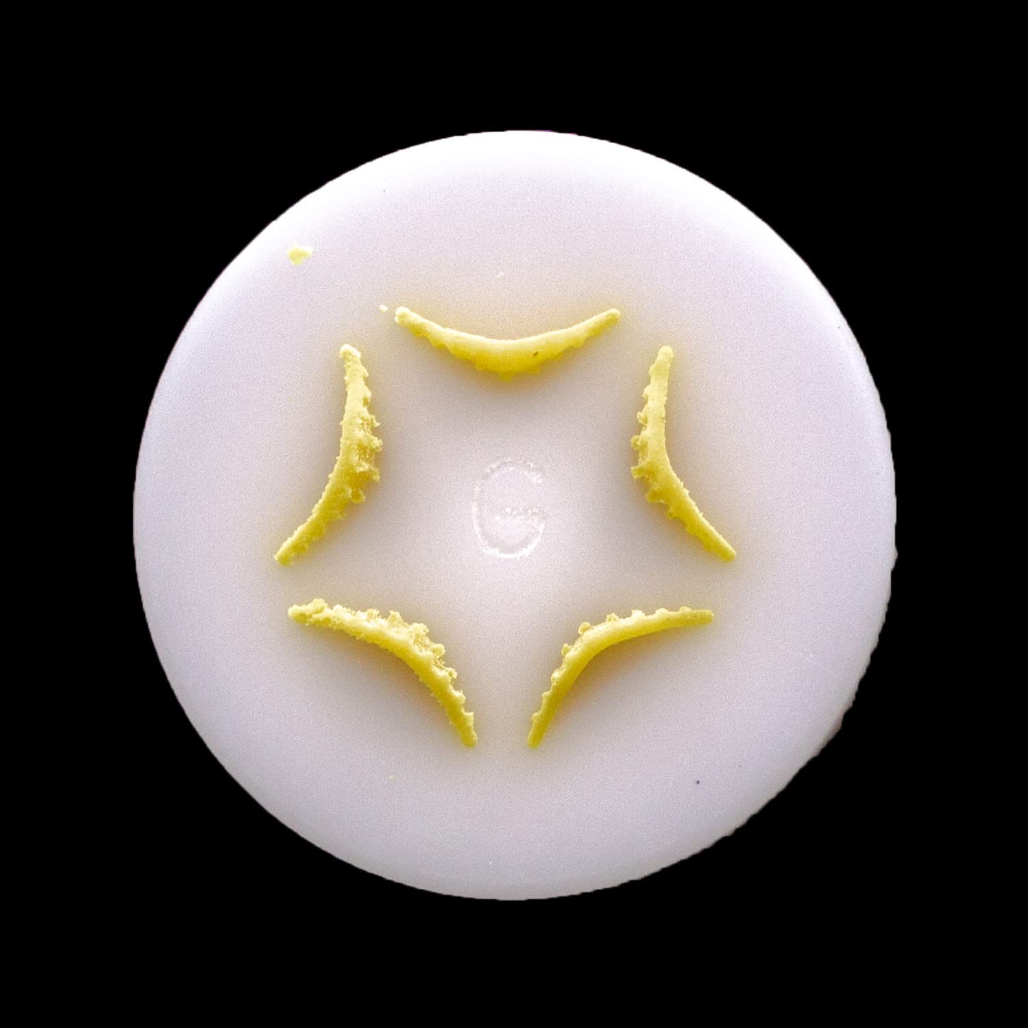 Philips Pasta Maker Small Conchiglia Pasta Disc Attachment - 20x1.1mm Shell-Shaped Pasta Discs Compatible with Philips Automatic Pasta & Noodle Maker | Perfect for Homemade Italian Pasta, Family Dinners & Gourmet Cooking