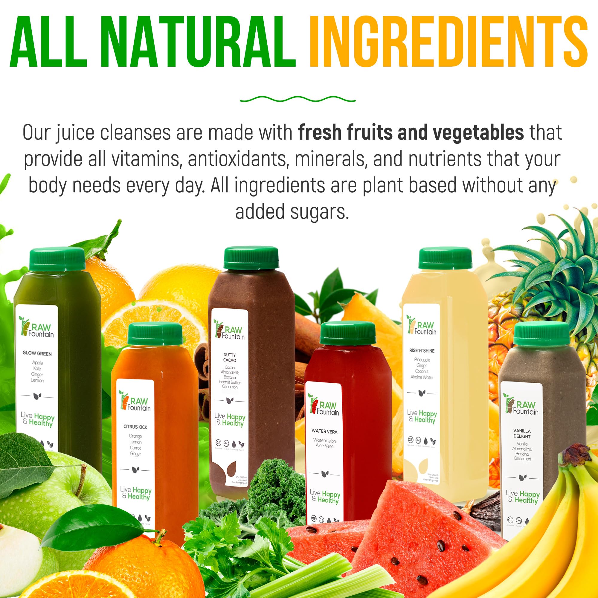 Raw Fountain 3-Day Protein Juice Cleanse - All Natural Cold Pressed Detox with Fruits, Vegetables, Vanilla & Chocolate Flavors (18x12oz Bottles + 3 Ginger Shots) | Tasty & Energizing for Weight Loss, Post-Workout Recovery & Healthy Lifestyle