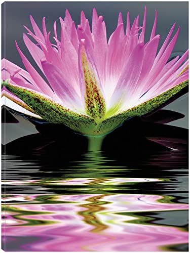 Purple Reflection