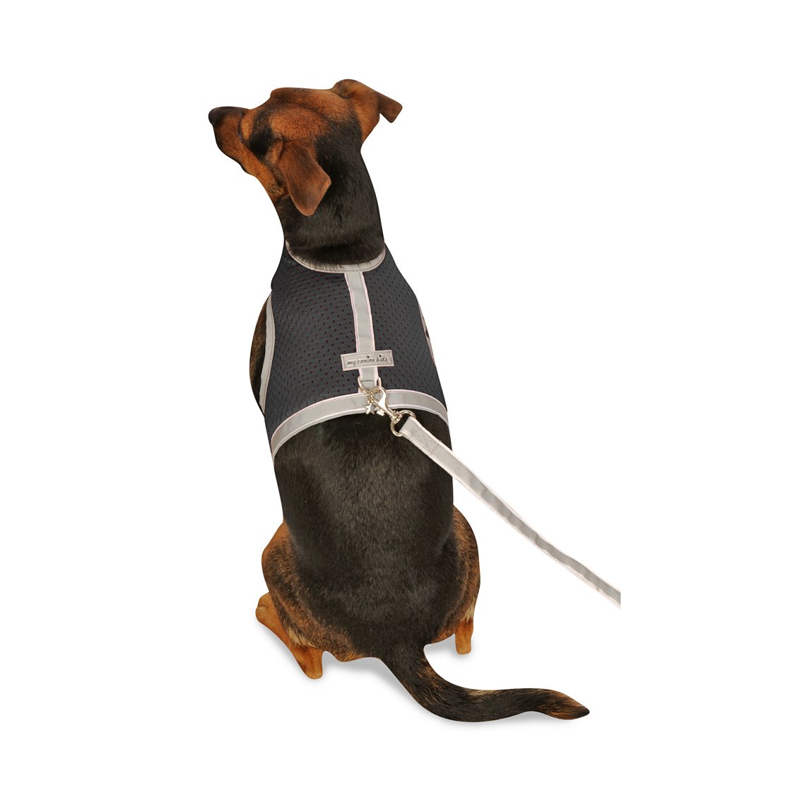 **Reflective Mesh Dog Harness for Small Dogs & Puppies - Lightweight, Breathable & Adjustable with Velcro Closure | Perfect for Teacup Breeds, Walks & Outdoor Adventures**