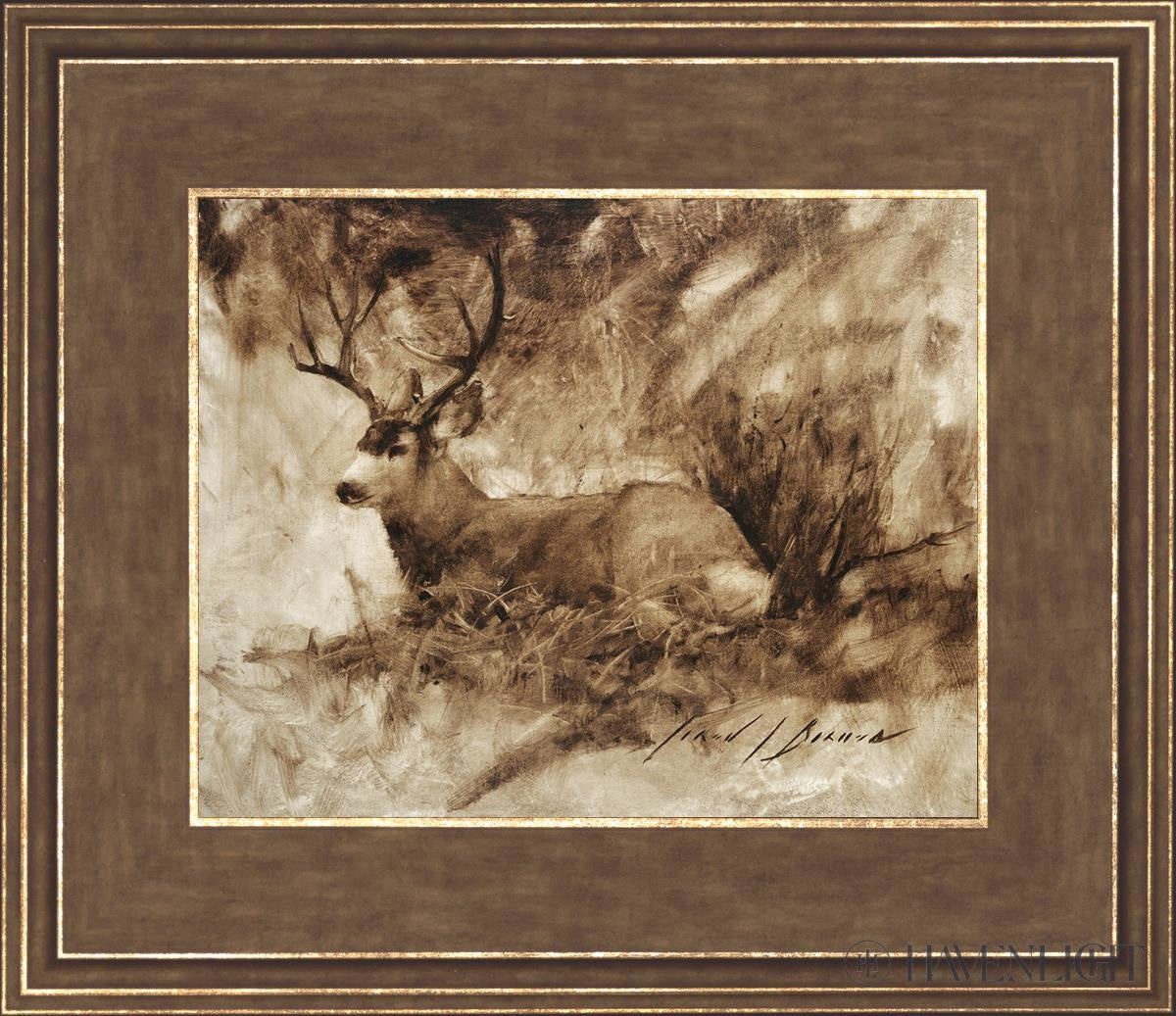 Bedded Buck By Jared Barnes - Premium Hunting & Outdoor Gear for Camping, Hiking & Adventure Enthusiasts