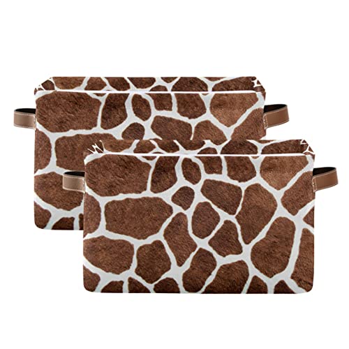 04-Giraffe Skin