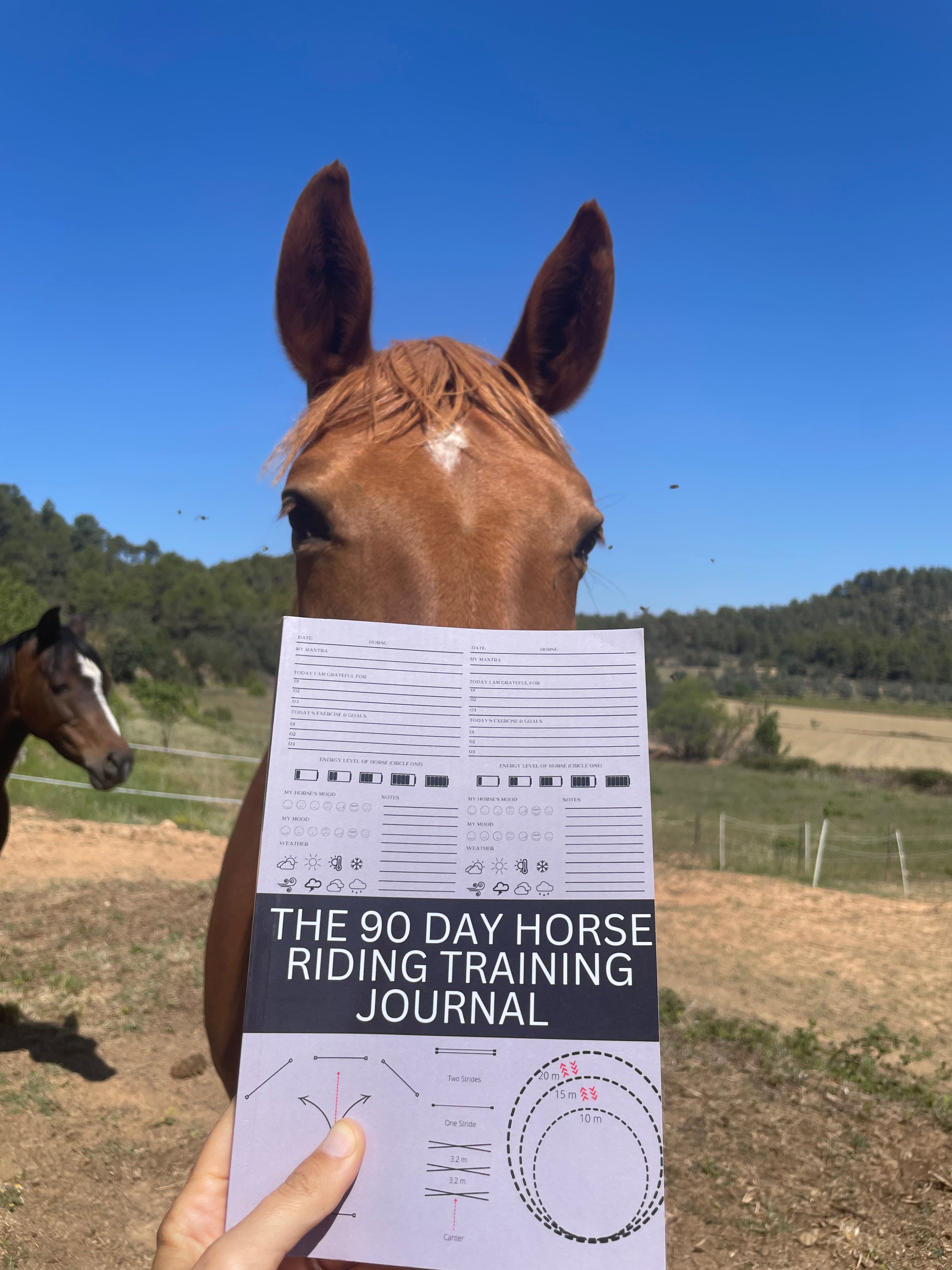 90-Day Horse Riding Training Journal - Track Progress & Improve Skills | Perfect for Equestrian Enthusiasts & Beginners | Ideal for Riding Lessons & Competitions