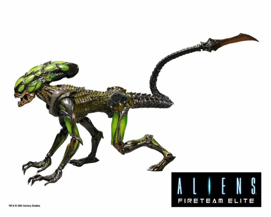 Aliens: Fireteam Elite - Burster Alien Action Figure | Collectible Sci-Fi Toy for Fans | Perfect for Display, Gaming, and Cosplay
