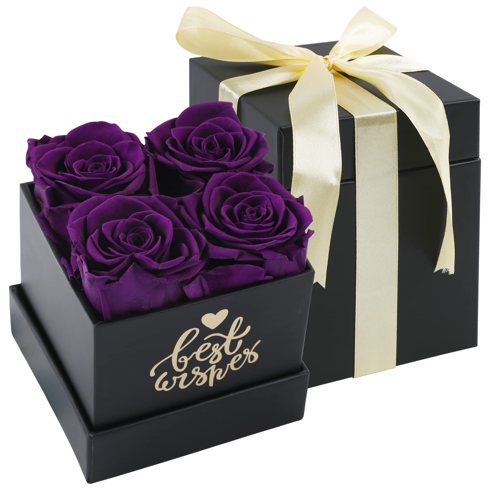 Real Preserved Rose Box - Long Lasting Flowers (1+ Year) | Classic Purple Eternal Roses for Sympathy Gifts, Mother's Day, Valentine's Day & Bridal Presents | Perfect for Home Decor, Wedding Centerpieces & Romantic Surprises
