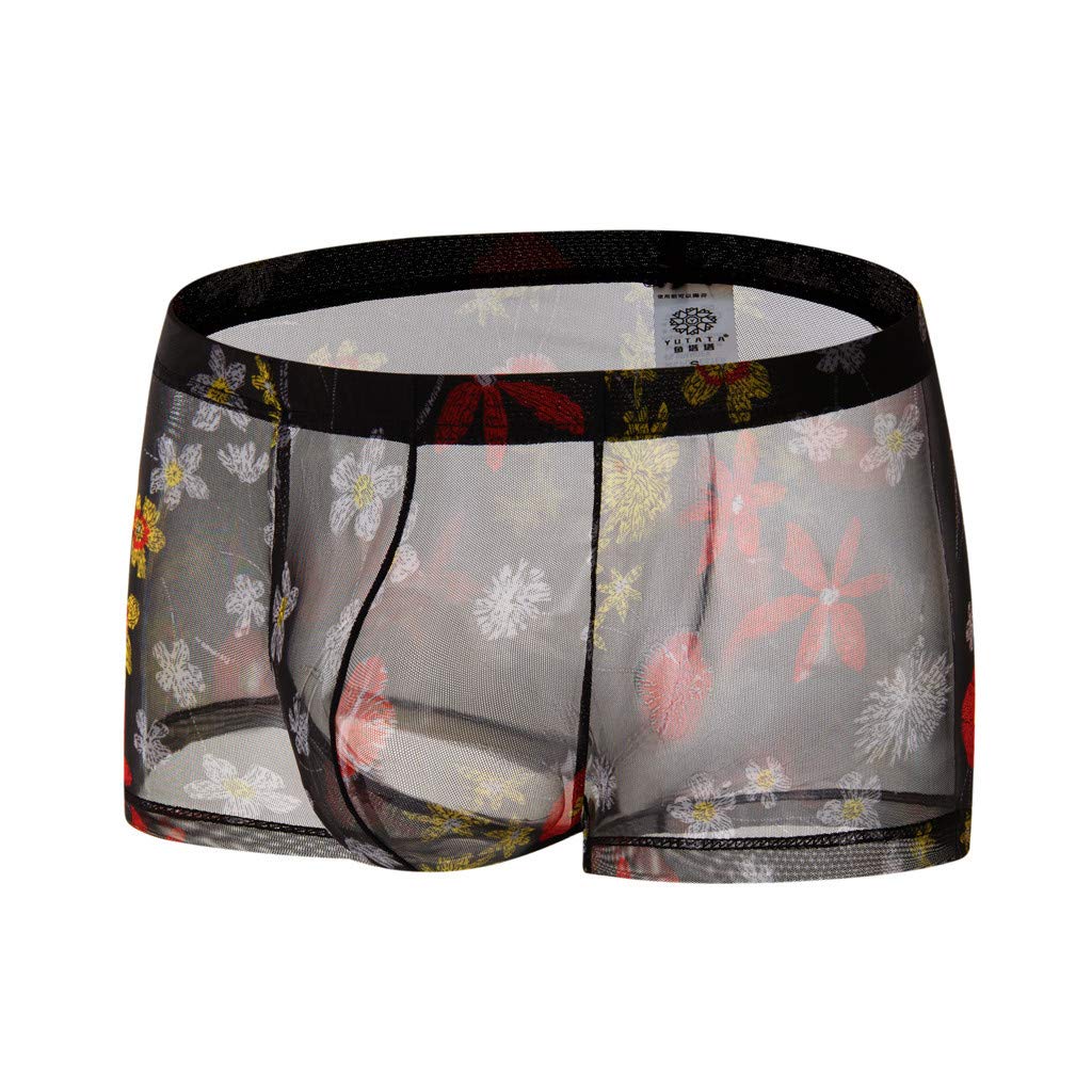 Sexy Men's Transparent See-Through Boxer Briefs - Printed Lingerie Shorts & Plus Size Underwear for Sensual Wear & Intimate Moments