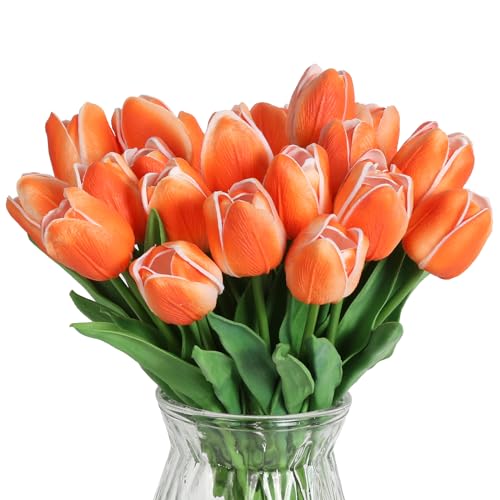 24pcs-orange