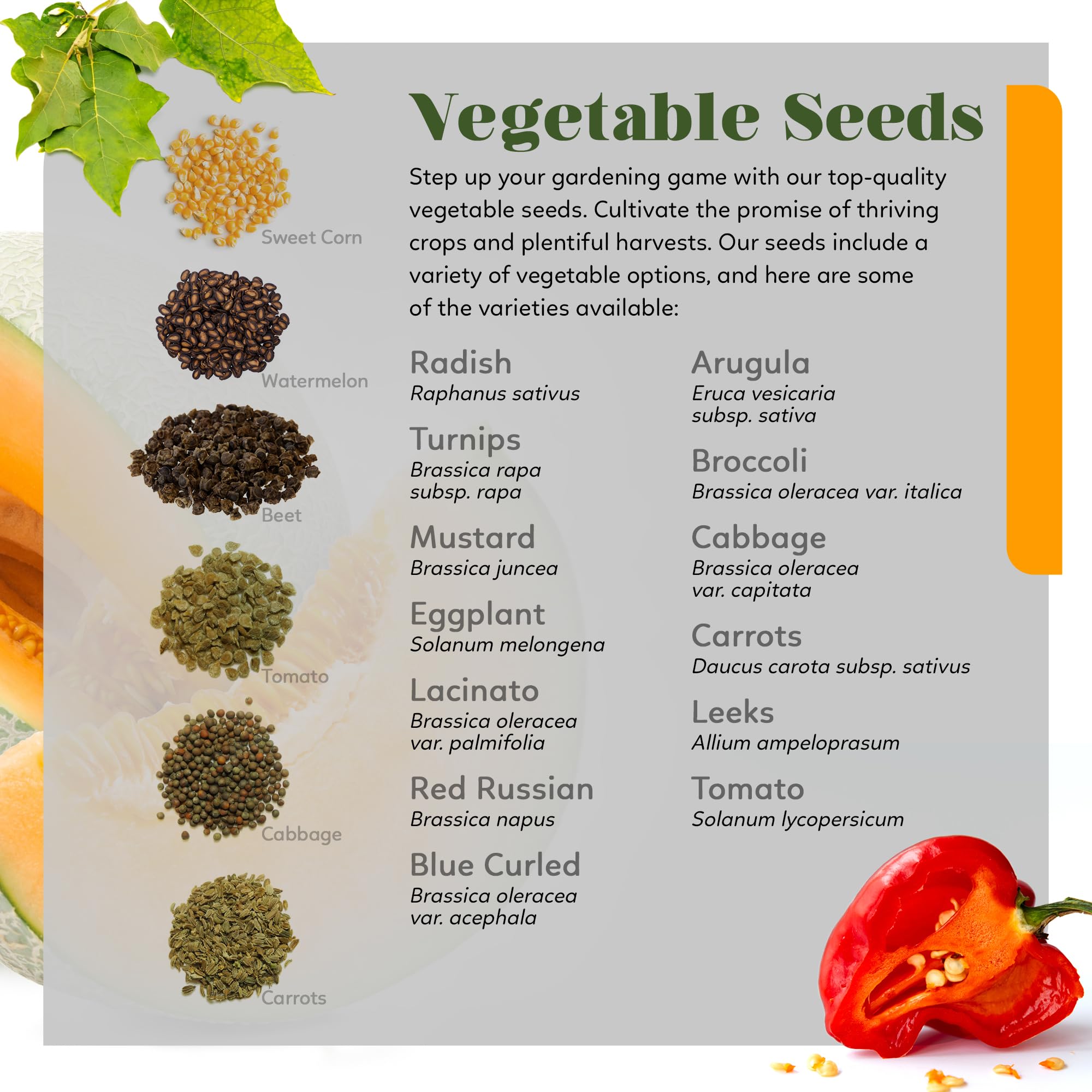**Organic Heirloom Seed Kit - 70+ Varieties, 50,000+ Seeds - Non-GMO Fruits, Vegetables & Herbs for Home Gardening - Includes Culinary & Medicinal Herbs - Perfect for Backyard Farming, Urban Gardening & Sustainable Living**