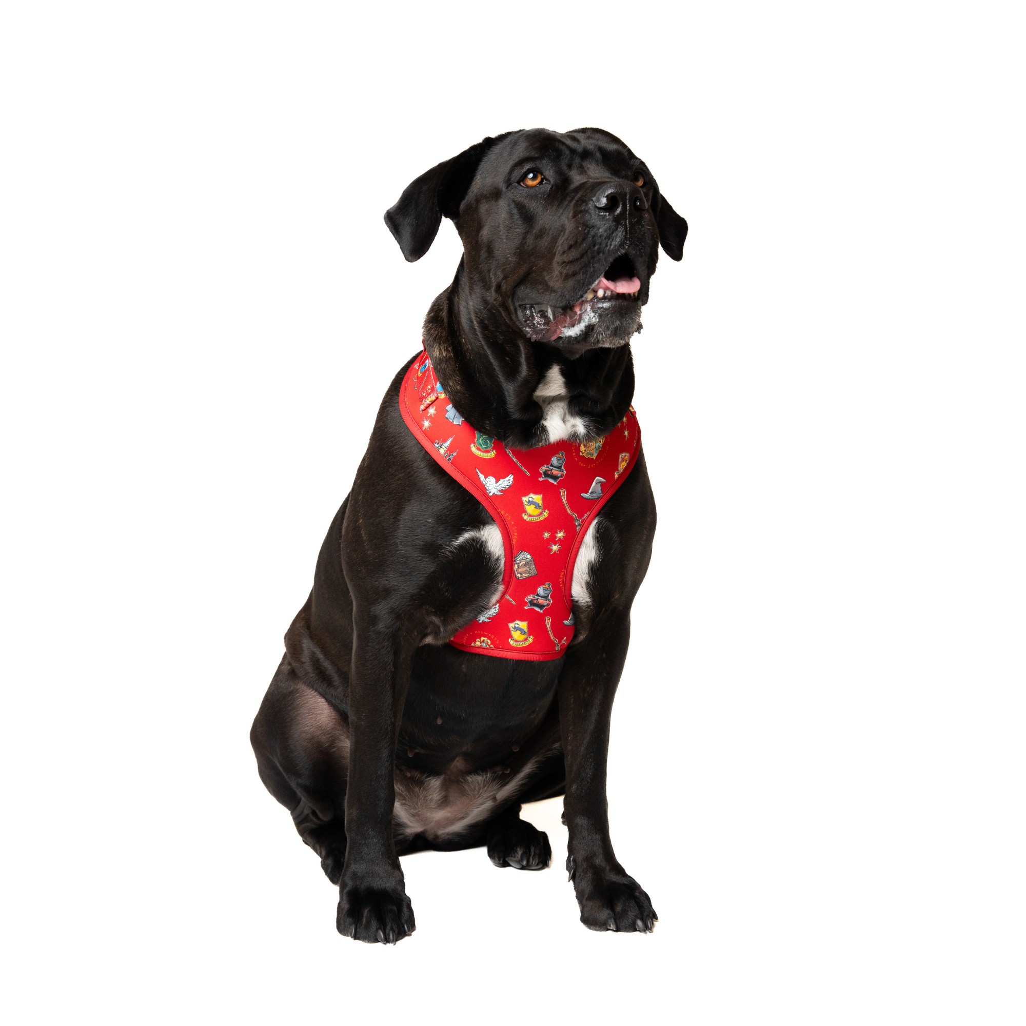 Harry Potter Dog Harness - Adjustable Pet Costume with Hogwarts House Colors - Perfect for Halloween, Cosplay & Themed Parties