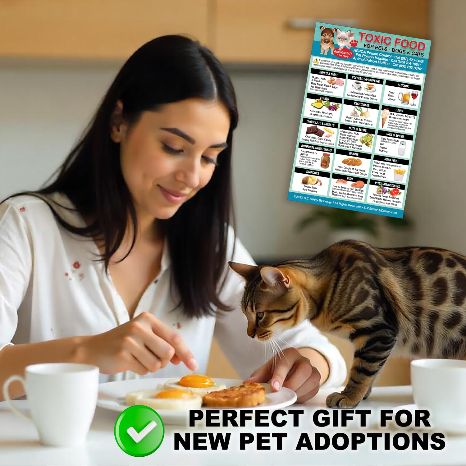 Toxic Foods for Dogs & Cats - Magnetic Pet Safety Feeding Chart (5.5x8.5 in) - Harmful Human Foods Pets Should Avoid - Perfect for Fridge, Vet Offices & Pet Adoption Gifts