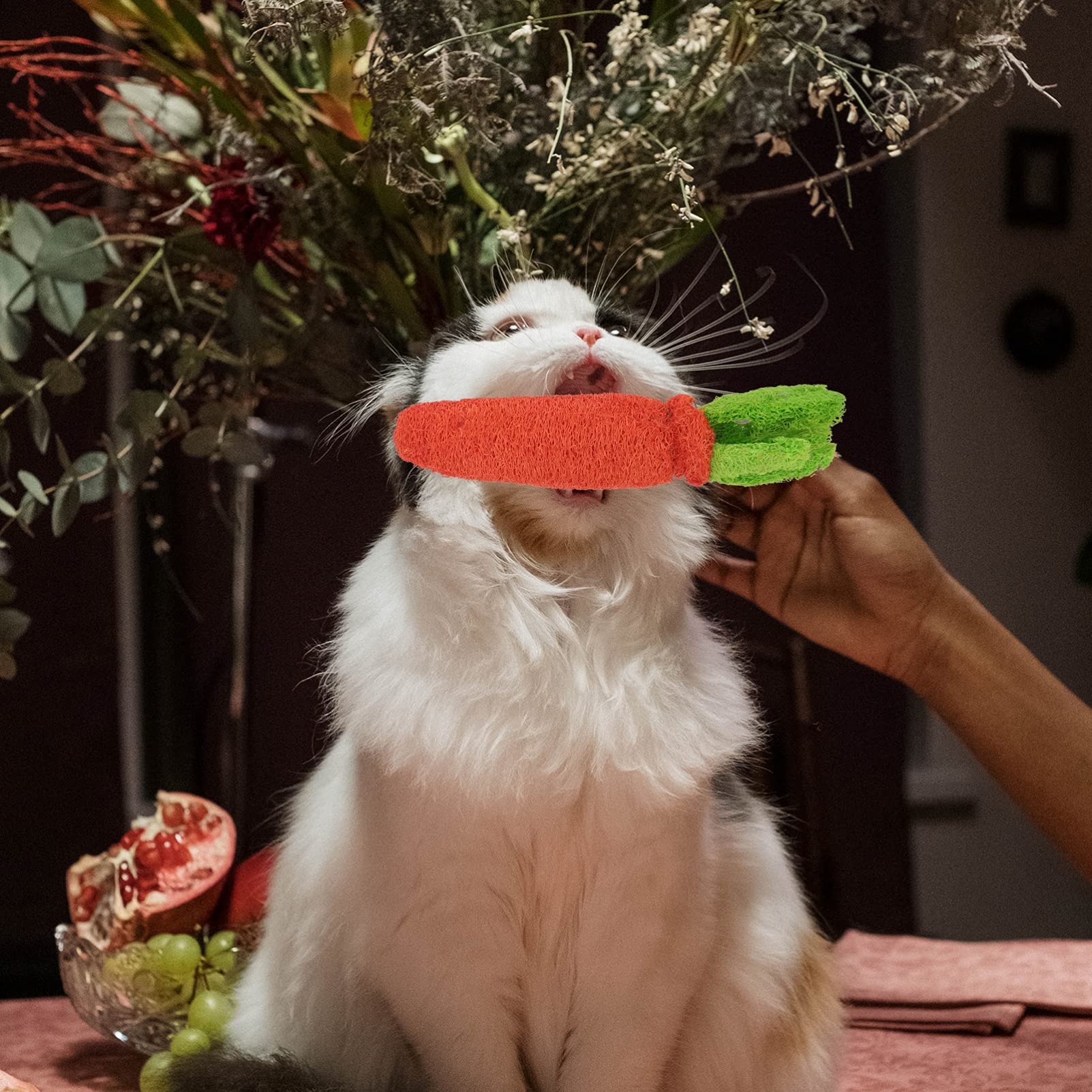 POPETPOP 2-Piece Loofah Rabbit Chew Toy for Small Pets - Natural Hamster Teeth Grinding & Molar Toy - Durable Biting Chew Toy for Rabbits, Hamsters & Guinea Pigs - Perfect for Dental Health & Stress Relief