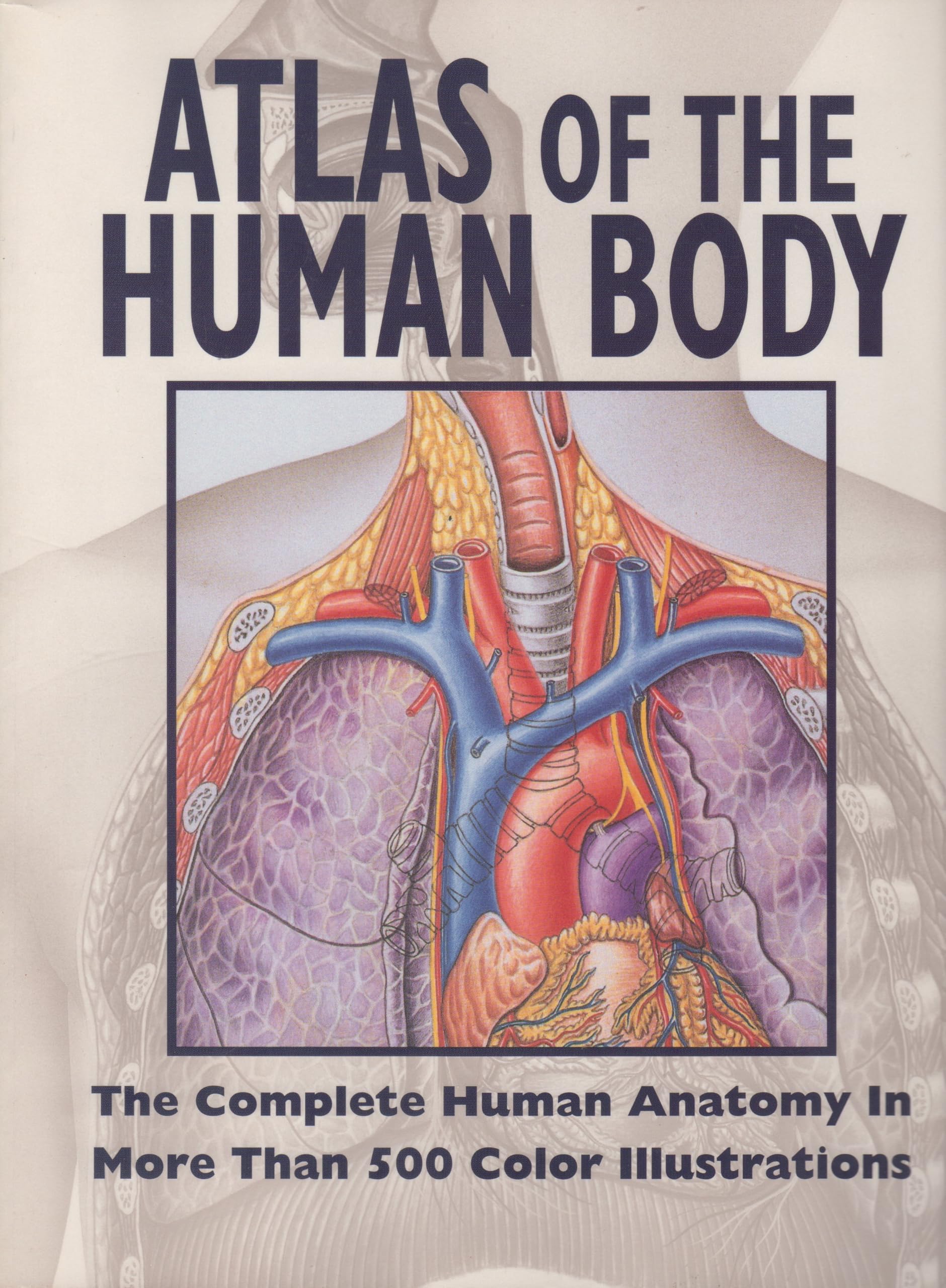 Human Body Atlas - Detailed Anatomy Book for Students & Medical Professionals | Perfect for Study, Reference & Healthcare Education