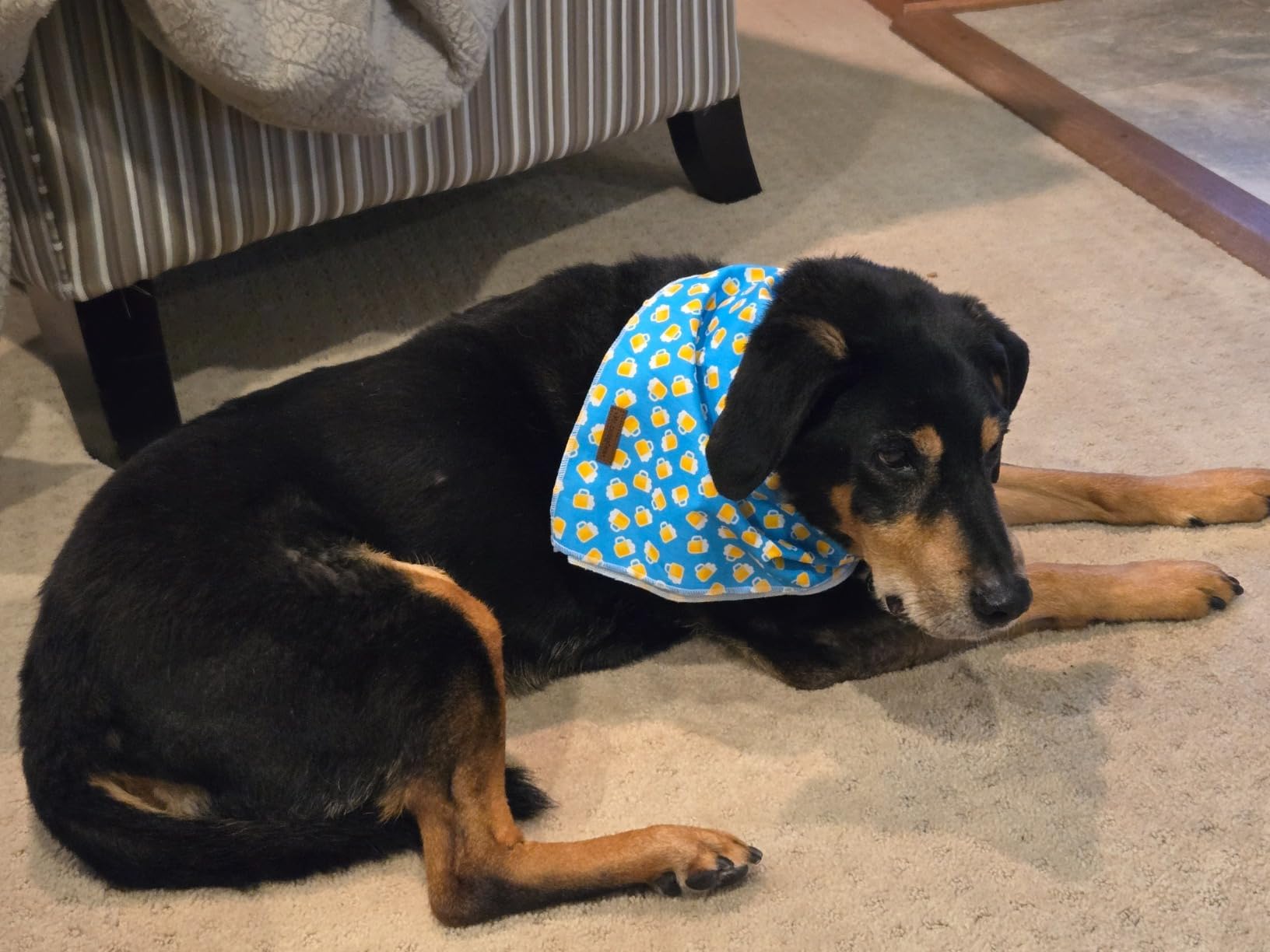 MR. CHUBBYFACE Reversible Blue Beer Dog Bandanas - Triangle Bib Scarf Accessory for Dogs & Cats - Perfect for Pet Parties, Holidays & Outdoor Adventures