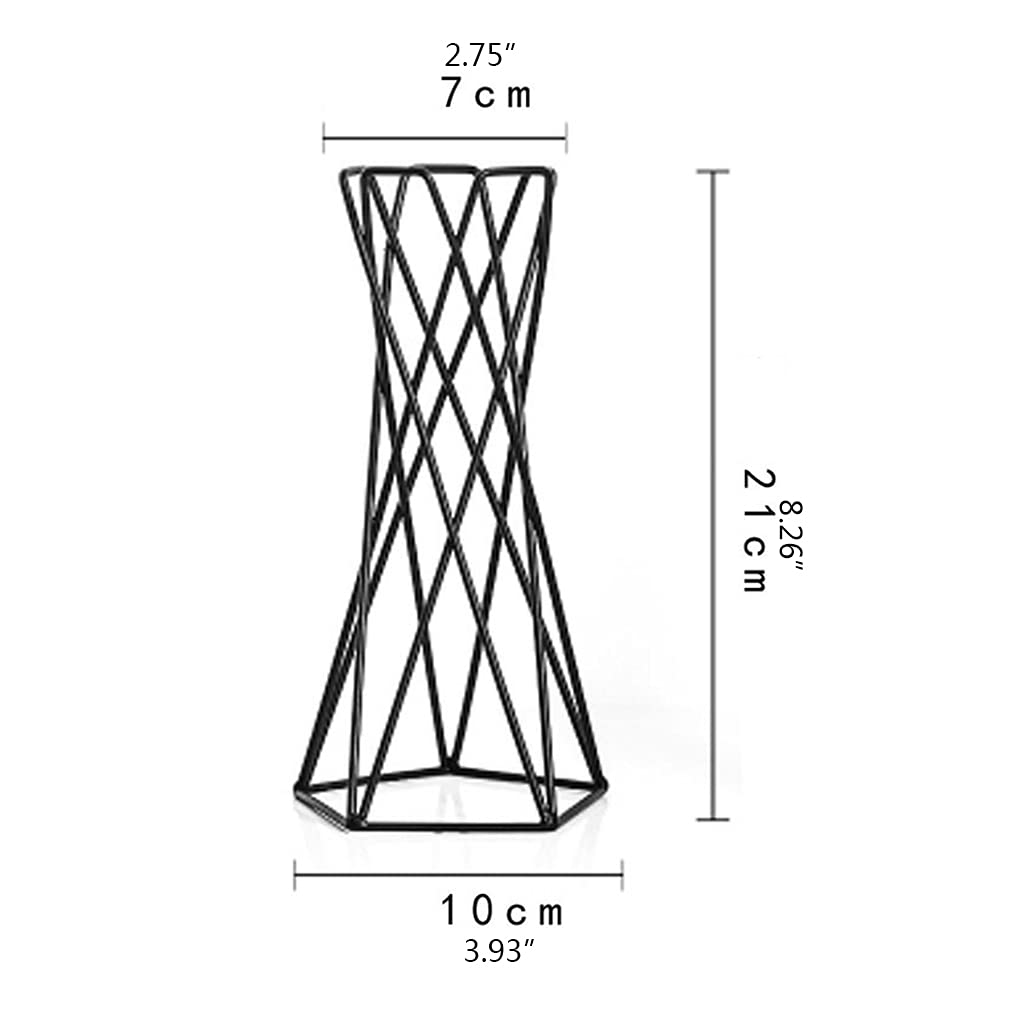 Nordic Air Plant Holder - Geometric Iron Tillandsia Stand with Metal Flower Pot, Black | Modern Home & Office Decor for Succulents, Air Plants & Small Plants