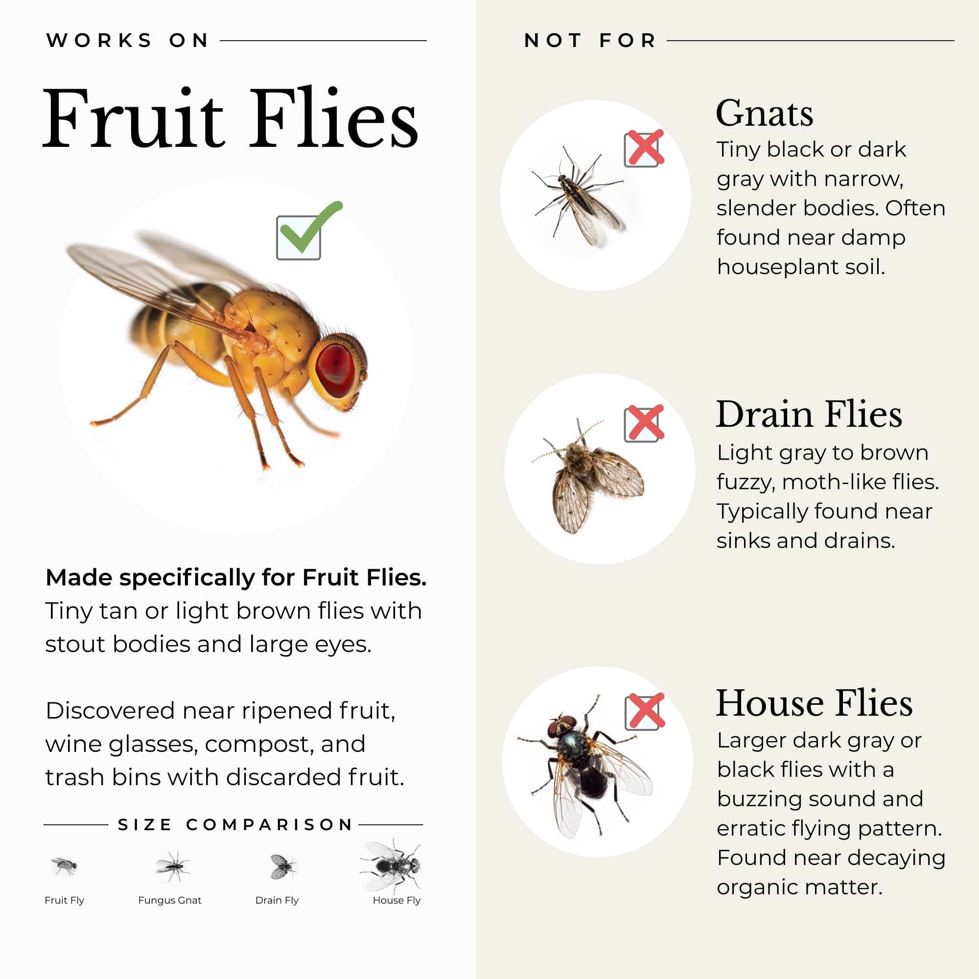 Wondercide Indoor Fruit Fly Traps - Natural Fruit Fly Killer for Home & Kitchen - Safe for Pets & Kids - Plant-Based, Made in USA - 5.4oz (2-Pack) - Perfect for Countertops, Pantries & Restaurants
