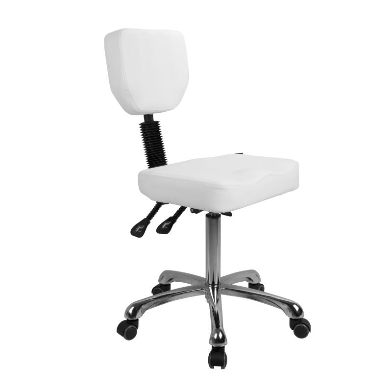 Silverfox Rolling Stool with Backrest 1030 - Adjustable Height Rolling Office Chair with Wheels, Ergonomic Back Support for Salon, Tattoo, Massage, Kitchen & Home Office Use