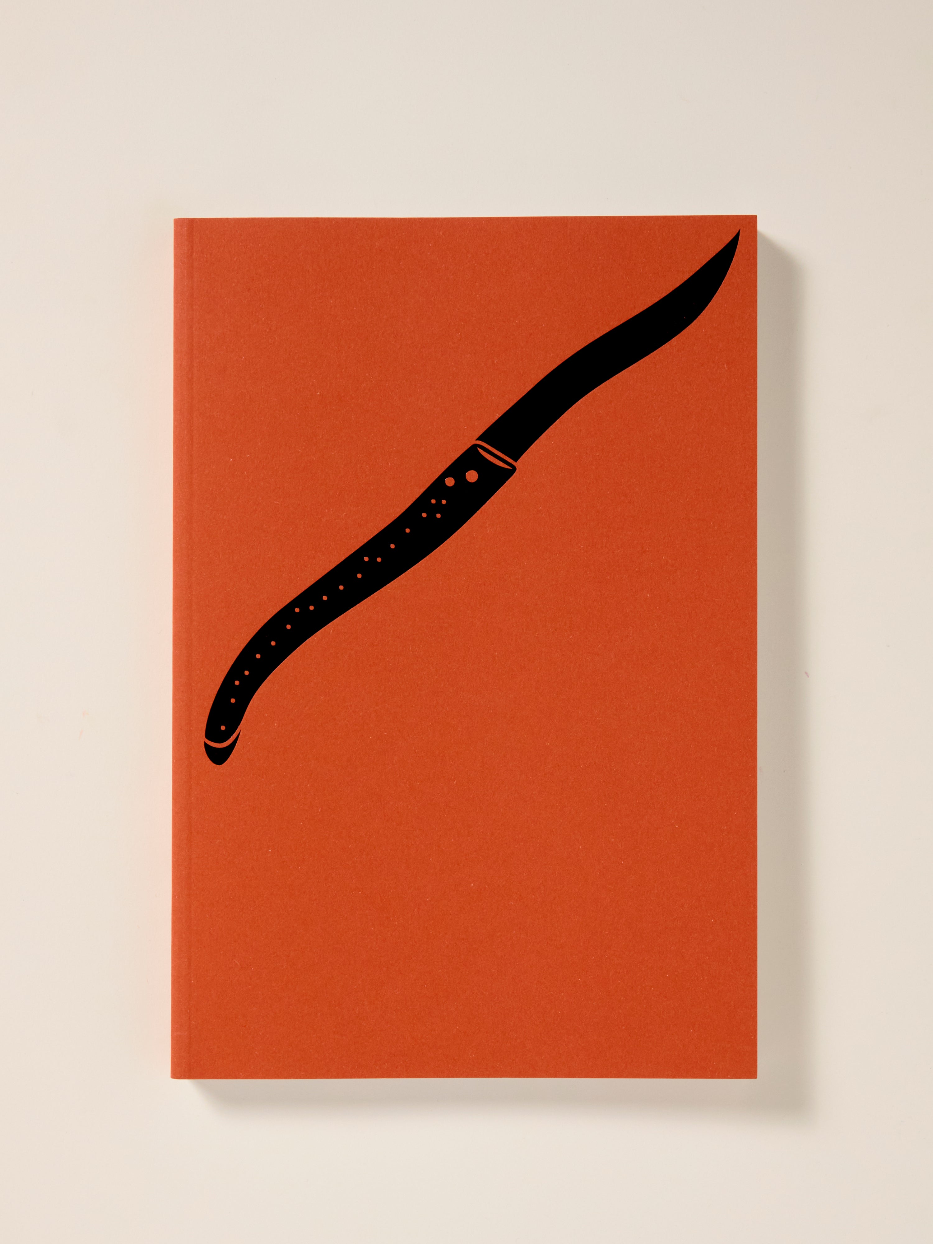 Valentine Schlegel: I Sleep, I Work - French Art Book for Home Decor & Office Inspiration