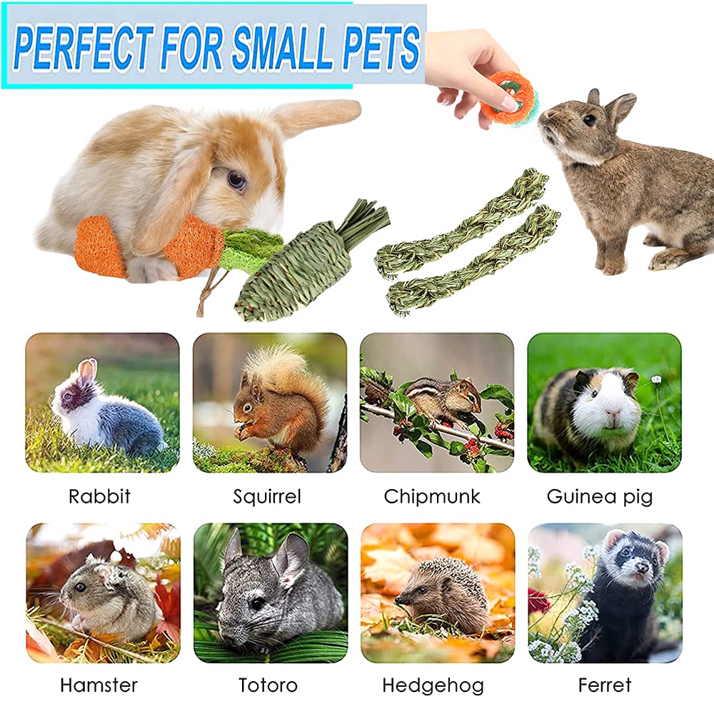 16 PCS Rabbit Chew Toys for Small Pets - Natural Loofah Carrot Dental Toys for Hamsters, Rabbits & Guinea Pigs | Promotes Teeth Health & Digestion | Perfect Small Animal Gifts for Cage Enrichment & Playtime