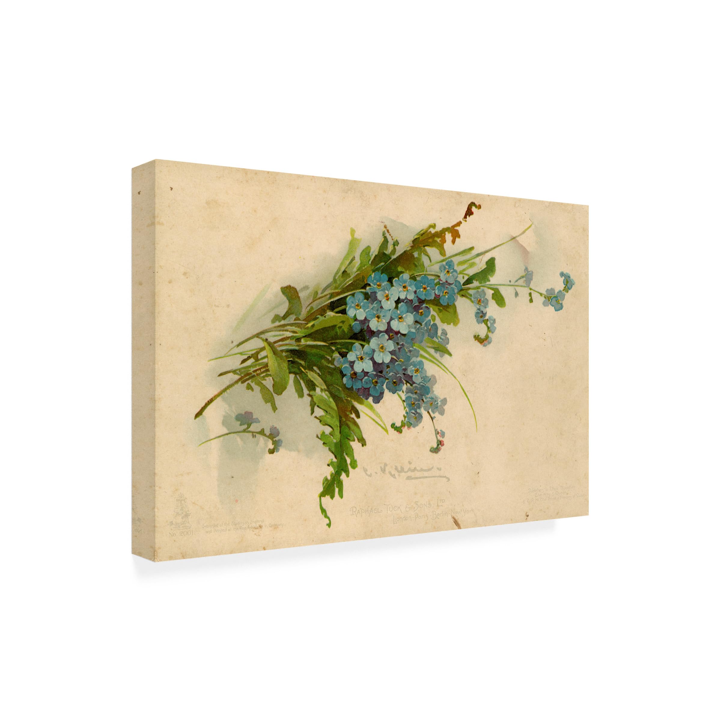Trademark Fine Art 'Forget Me Not' Floral Canvas Wall Art Print - Perfect for Living Room, Bedroom & Office Decor