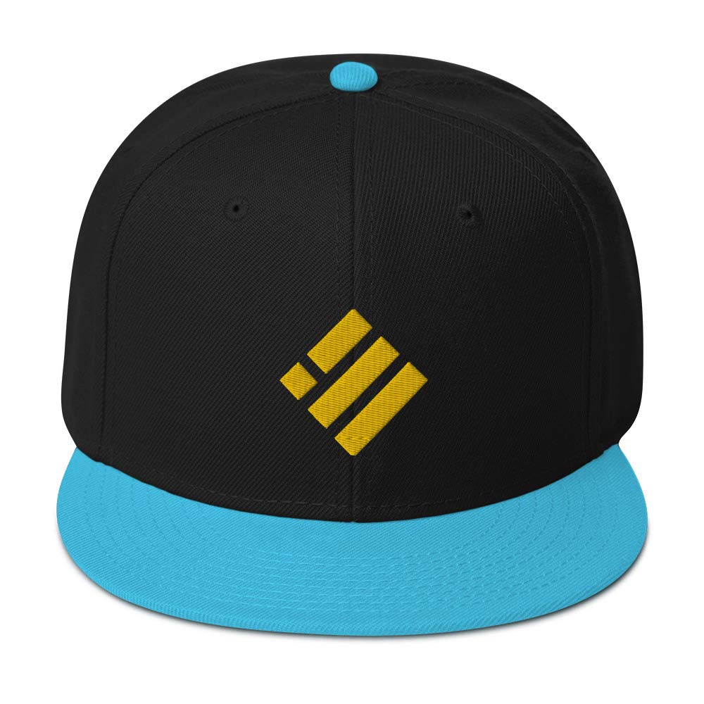 Hogue WS LLC Binance USD (BUSD) Embroidered Wool Blend Snapback Cap - Cryptocurrency Merchandise for Crypto Enthusiasts & Blockchain Fans - Perfect for Trading, Events & Daily Wear