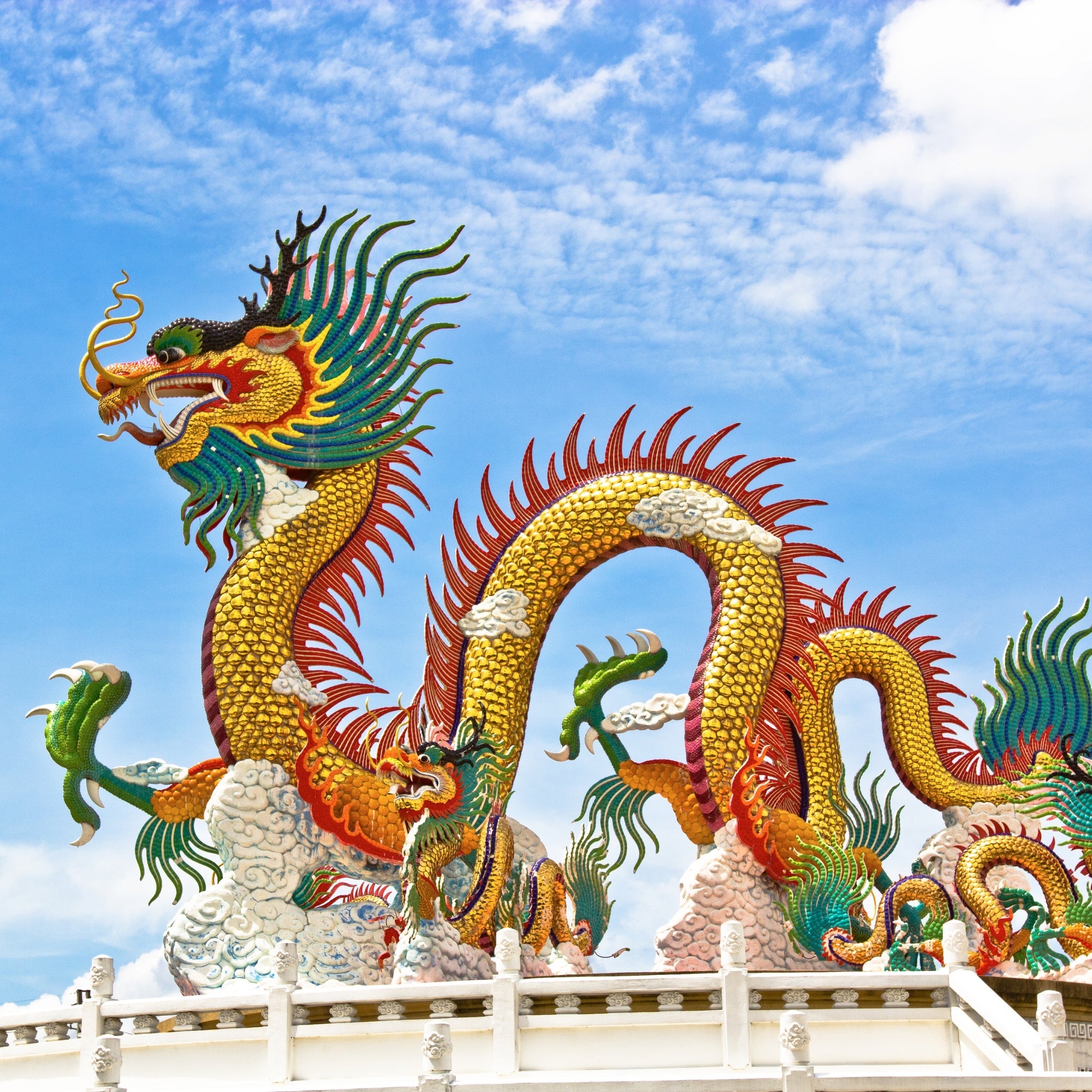 Premium Manchurian Dragon Fragrance Oil - Long-Lasting Aromatherapy Essential Oil for Home, Office & Spa Relaxation