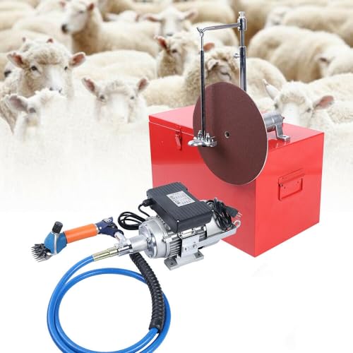 Shear & Sharpener