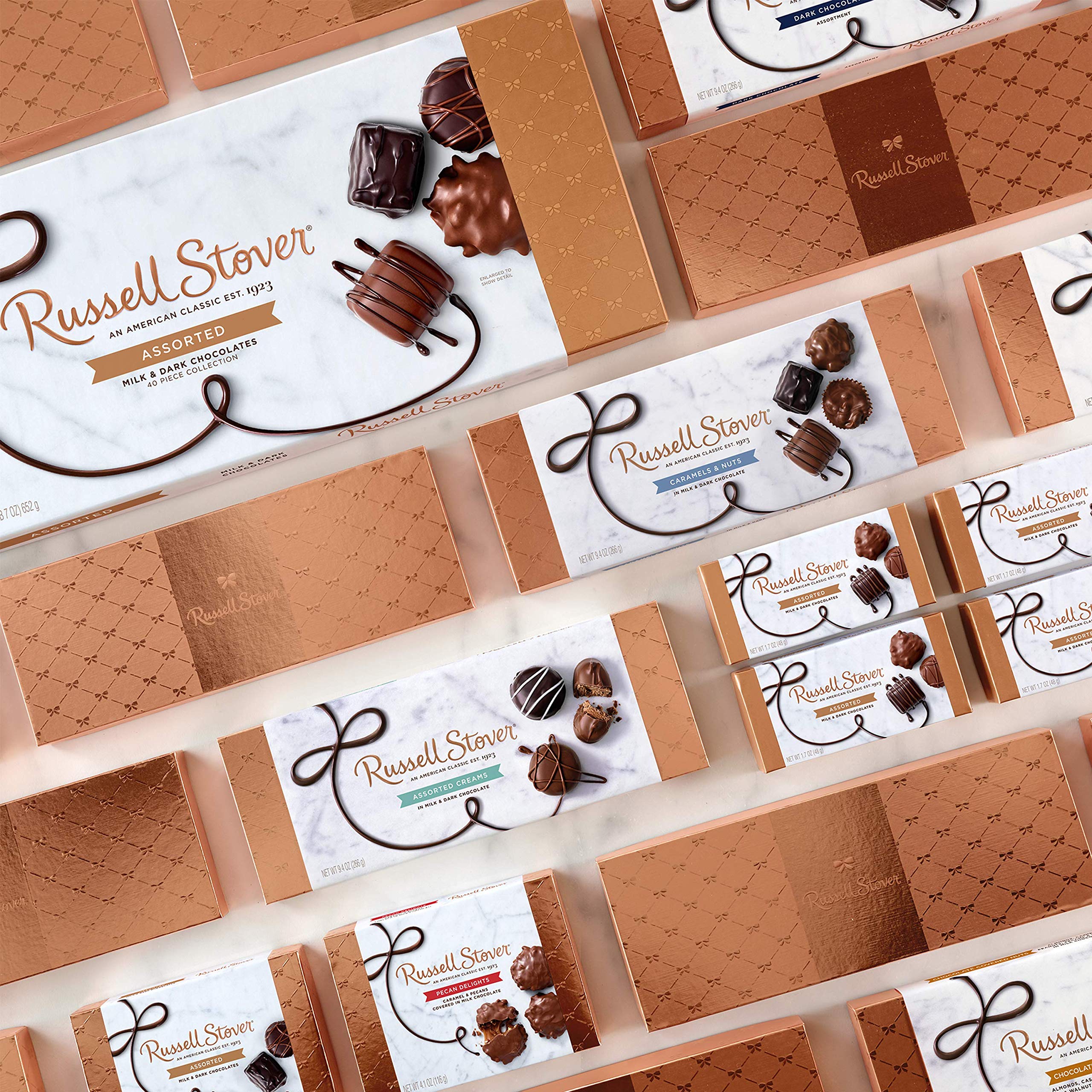 Russell Stover Milk Chocolate Assortment Gift Box - 9.4 oz Premium Chocolate Collection for Holidays, Birthdays & Corporate Gifting