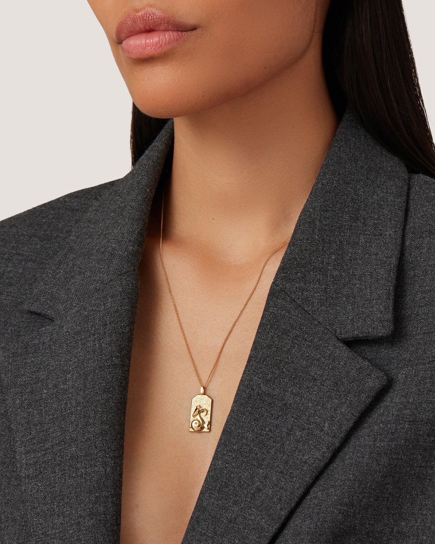 Capricorn Zodiac Pendant Necklace - Sterling Silver Horoscope Jewelry for Women - Perfect Birthday Gift & Daily Wear
