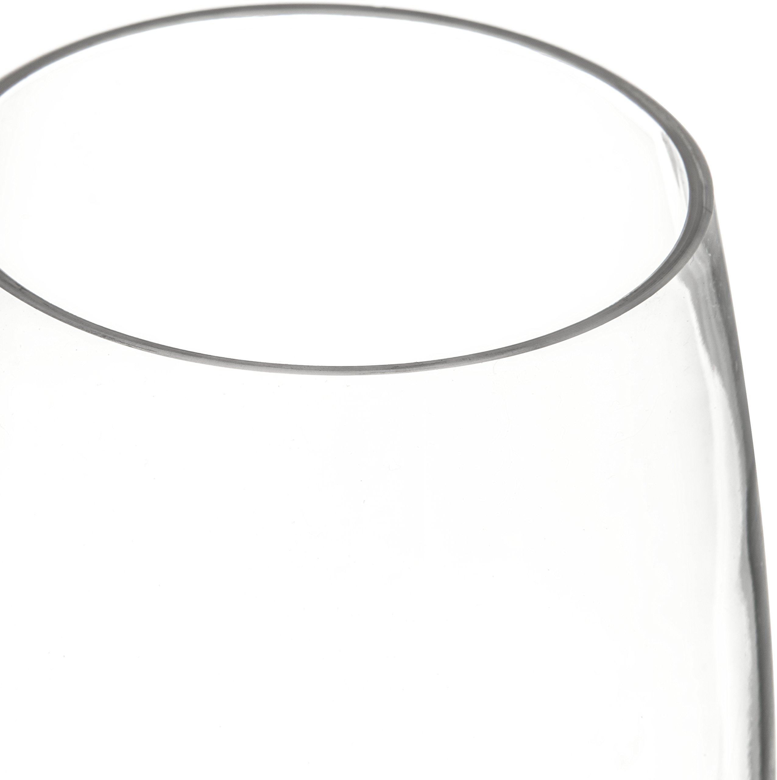 Carlisle FoodService Products Alibi 20 oz Clear Plastic Wine Glasses - Bulk Pack of 24 - Durable & Shatterproof for Restaurants, Catering, Bars, Events & Home Use