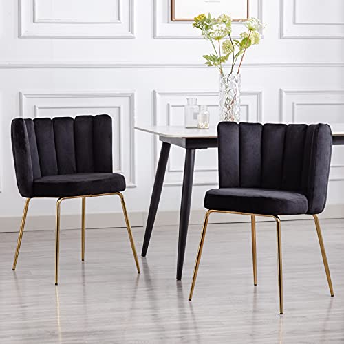 Velvet-black