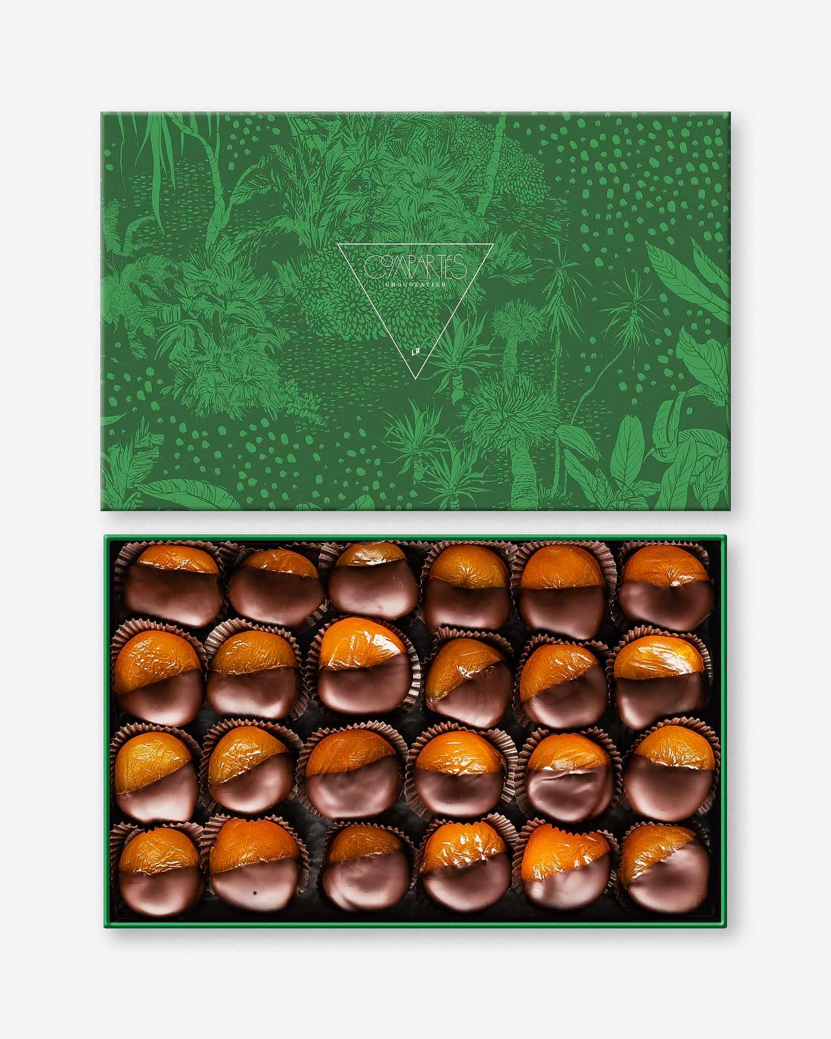 Premium Dark Chocolate Covered Apricots - Gourmet Dried Fruit Gift Box | Perfect for Valentine's Day, Holidays & Corporate Gifting