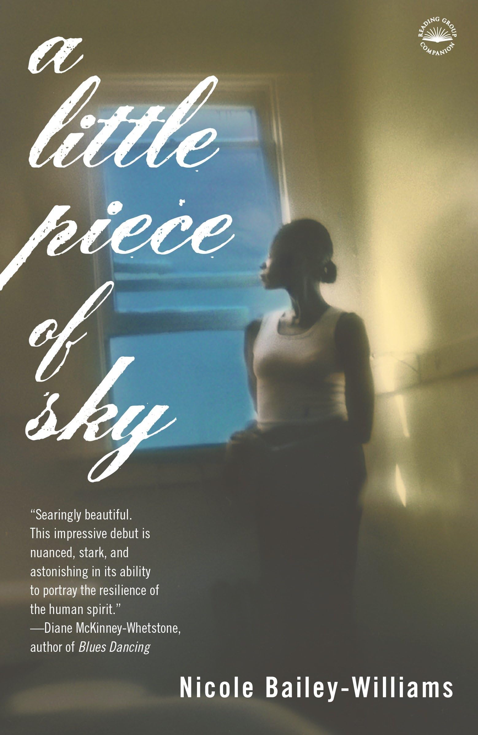 A Little Piece of Sky: A Novel - Inspirational Fiction Book for Relaxation & Self-Discovery - Perfect for Reading at Home, Travel or Book Clubs