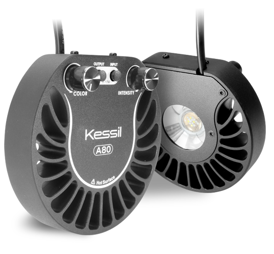 Kessil A80 Tuna Blue LED Aquarium Light for Coral Reef & Saltwater Tanks - Dimmable Full Spectrum Lighting for Marine Fish & Coral Growth
