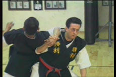 Chin Na Self-Defense DVD by Christian Harfouche - Learn Chinese Martial Arts Techniques for Home Training & Personal Protection