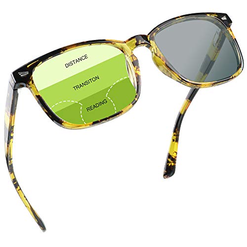 Yellow Tortoise