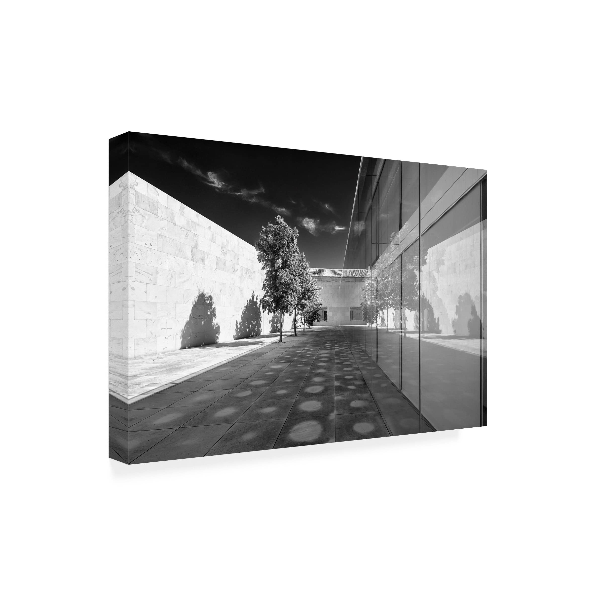 Trademark Fine Art 'Conclusus Viii' Canvas Wall Art Print by Fabio Candido - Modern Abstract Painting for Living Room, Bedroom & Office Decor